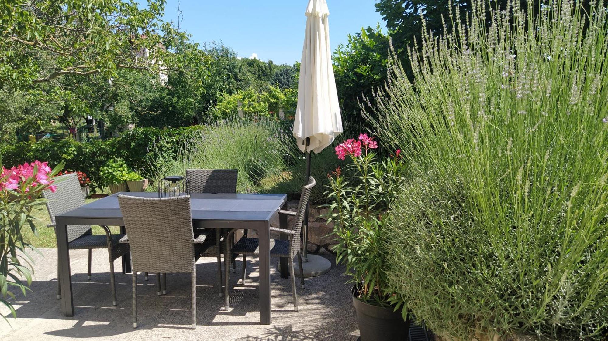 Gianna Apartment Labin 외부 사진